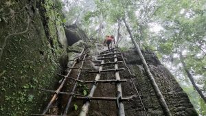 Ladder